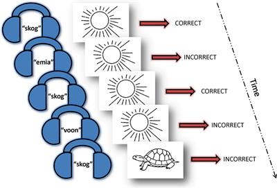 Practice and Learning: Spatiotemporal Differences in Thalamo-Cortical-Cerebellar Networks Engagement across Learning Phases in Schizophrenia